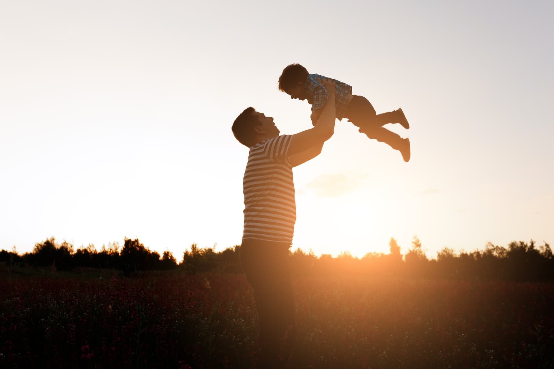 Complemento de paternidad